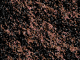 xm006910.gif