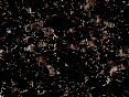 xm006905.gif
