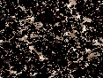xm006902.gif