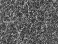 xm006899.gif