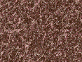 xm006896.gif