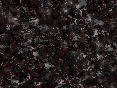xm006894.gif