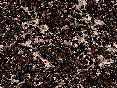 xm006890.gif