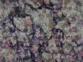 xm006887.gif