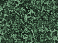 xm006884.gif