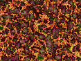 xm006882.gif