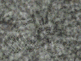 xm006880.gif