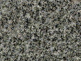 xm006879.gif