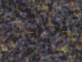 xm006878.gif
