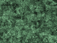 xm006876.gif