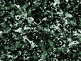 xm006873.gif