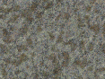 xm006859.gif