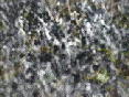 xm006858.gif