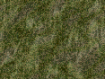 xm006852.gif