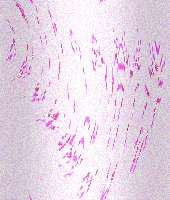 xm007761.gif