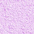 xm007656.gif