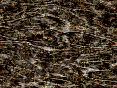 xm007631.gif