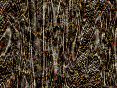 xm007630.gif