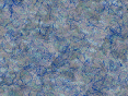 xm007626.gif