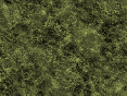 xm007615.gif