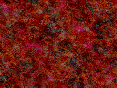 xm007611.gif