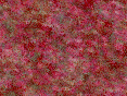 xm007608.gif