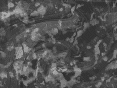 xm007605.gif