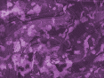 xm007604.gif