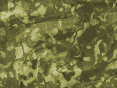 xm007600.gif