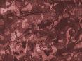 xm007599.gif