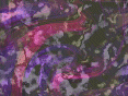 xm007598.gif