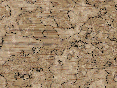 xm007597.gif