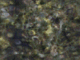 xm007596.gif