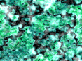 xm007595.gif