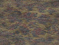 xm007593.gif