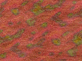 xm007592.gif