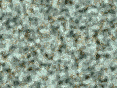xm007585.gif