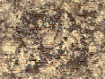 xm007579.gif