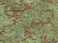 xm007577.gif