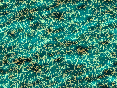 xm007576.gif