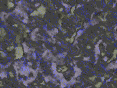 xm007574.gif