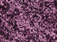 xm007572.gif