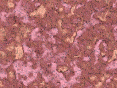 xm007571.gif