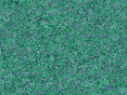 xm007570.gif