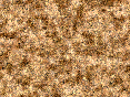 xm007569.gif