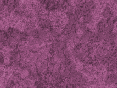 xm007565.gif
