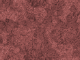 xm007562.gif