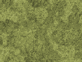 xm007561.gif