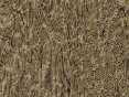 xm007557.gif