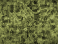 xm007556.gif